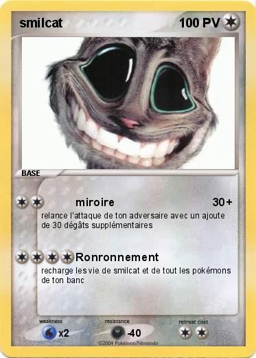 Pokemon smilcat