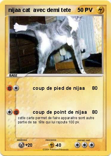 Pokemon nijaa cat  avec demi tete
