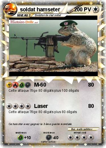 Pokemon soldat hamseter