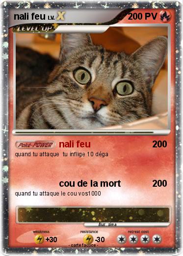 Pokemon nali feu
