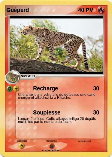 Pokemon Guépard