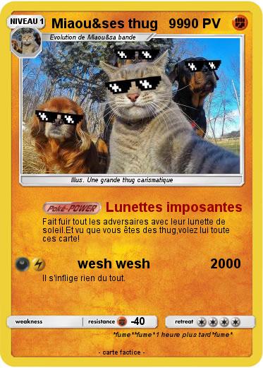 Pokemon Miaou&ses thug   99