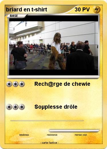 Pokemon briard en t-shirt