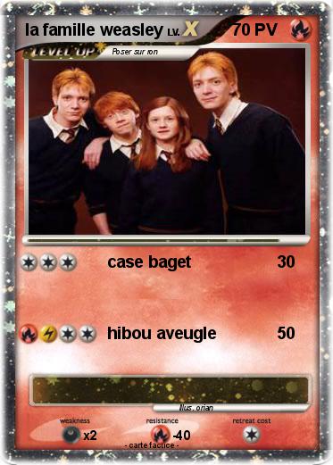Pokemon la famille weasley