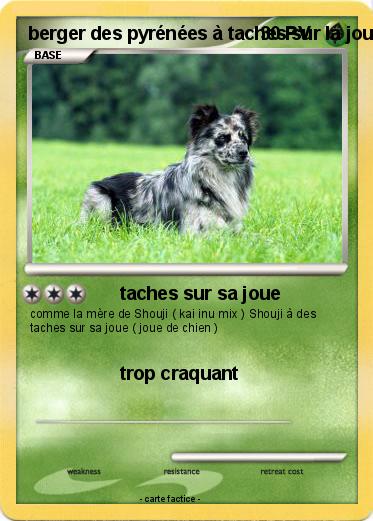 Pokemon berger des pyrénées à taches sur la joue