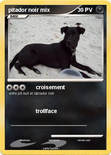 Pokemon pitador noir mix