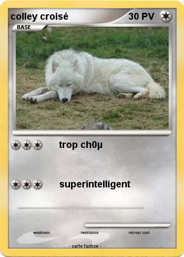 Pokemon colley croisé