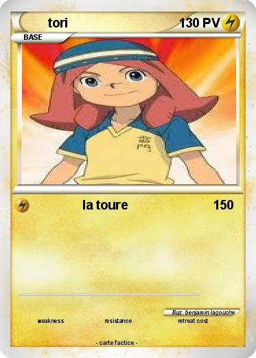 Pokemon tori