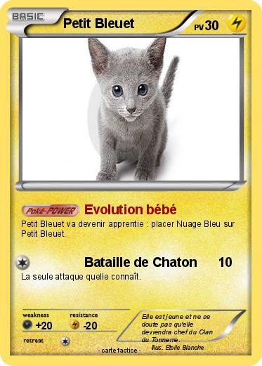 Pokemon Petit Bleuet