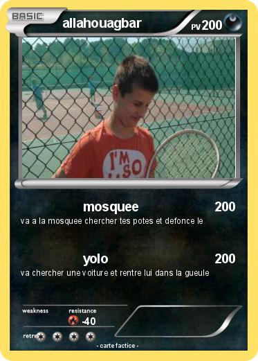 Pokemon allahouagbar