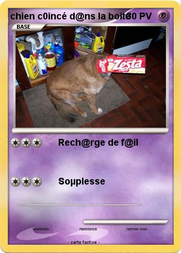 Pokemon chien c0incé d@ns la boite