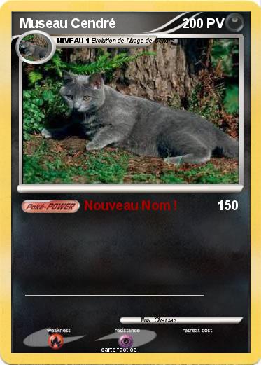 Pokemon Museau Cendré