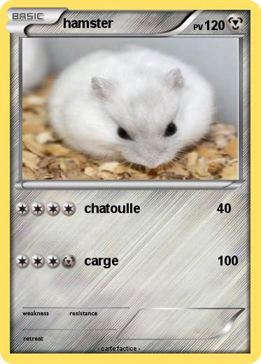Pokemon hamster