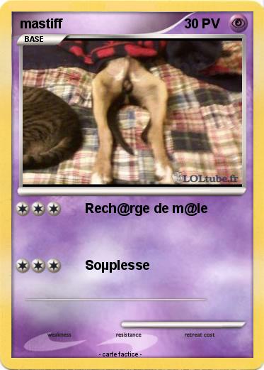Pokemon mastiff