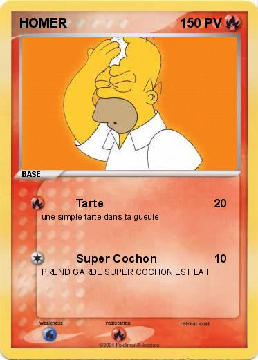 Pokemon HOMER