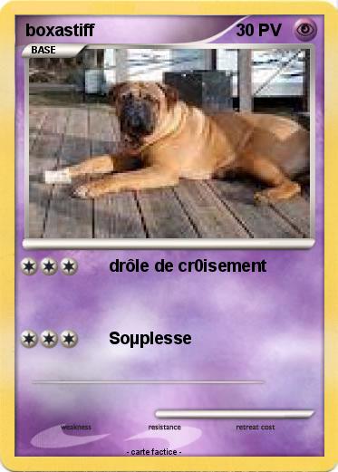 Pokemon boxastiff