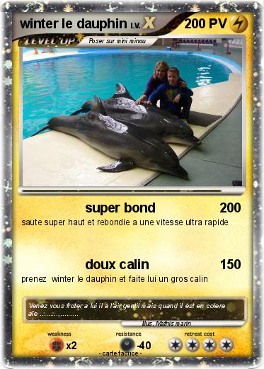 Pokemon winter le dauphin