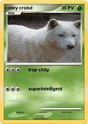 Pokemon colley croisé