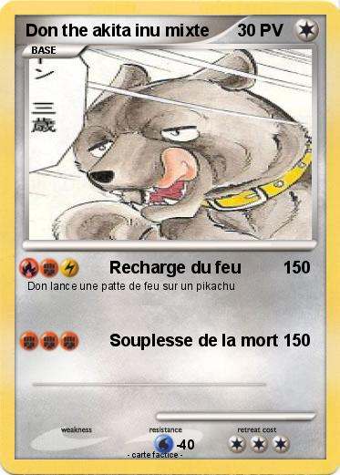 Pokemon Don the akita inu mixte