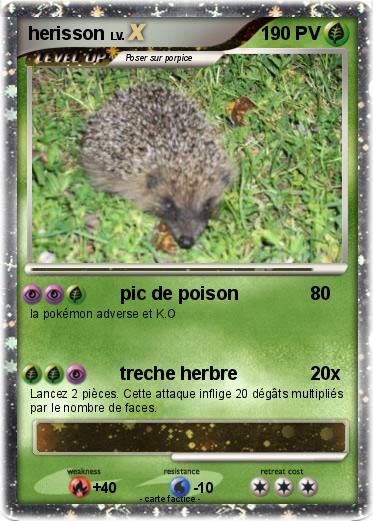 Pokemon herisson