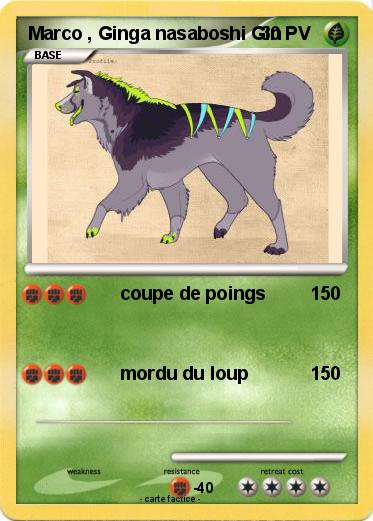 Pokemon Marco , Ginga nasaboshi Gin