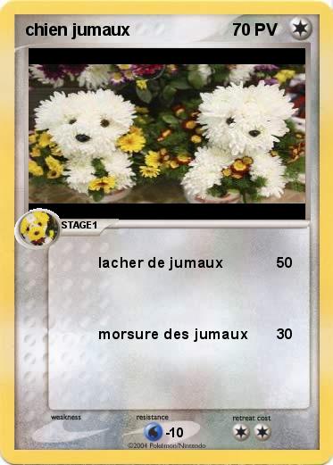 Pokemon chien jumaux