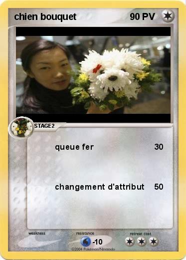 Pokemon chien bouquet