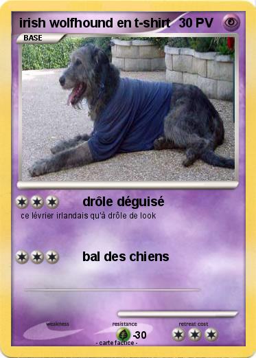Pokemon irish wolfhound en t-shirt