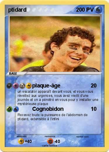Pokemon ptidard