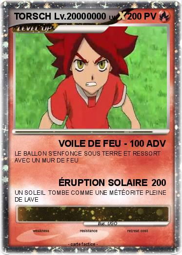 Pokemon TORSCH Lv.20000000