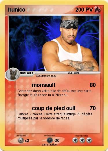 Pokemon hunico