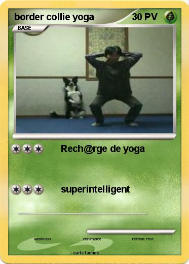 Pokemon border collie yoga