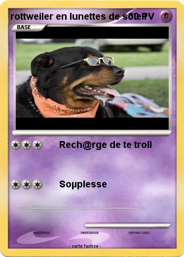Pokemon rottweiler en lunettes de soleil