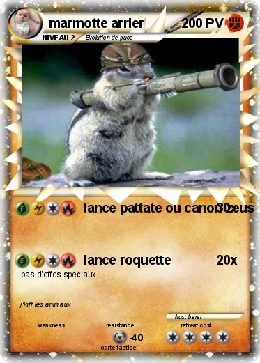 Pokemon marmotte arrier