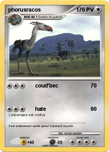 Pokemon phorusracos