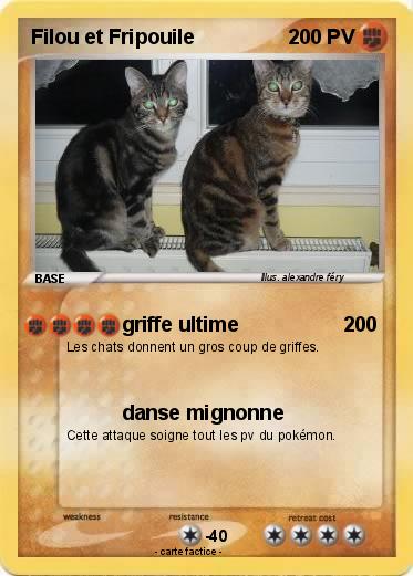 Pokemon Filou et Fripouile