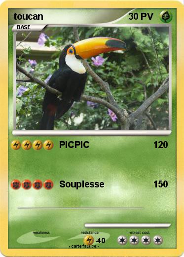 Pokemon toucan