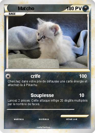 Pokemon Matcho