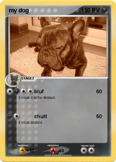 Pokemon my dog