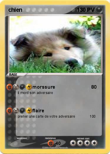 Pokemon chien