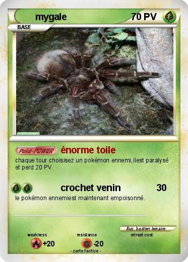Pokemon mygale