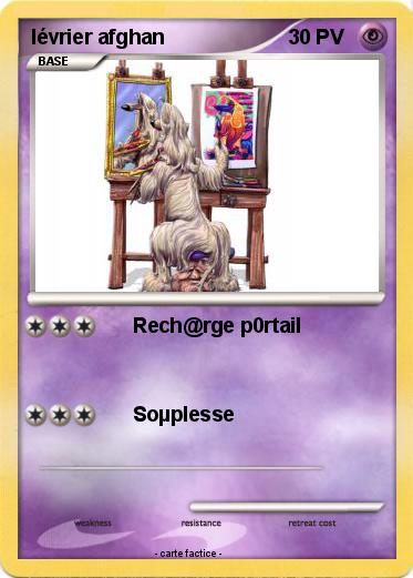 Pokemon lévrier afghan