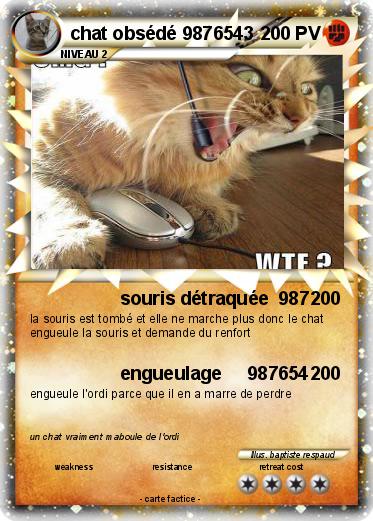 Pokemon chat obsédé 9876543