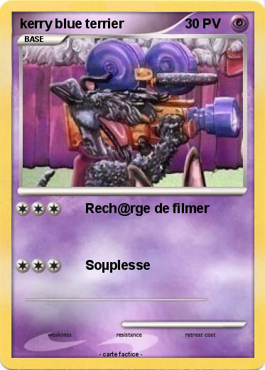 Pokemon kerry blue terrier