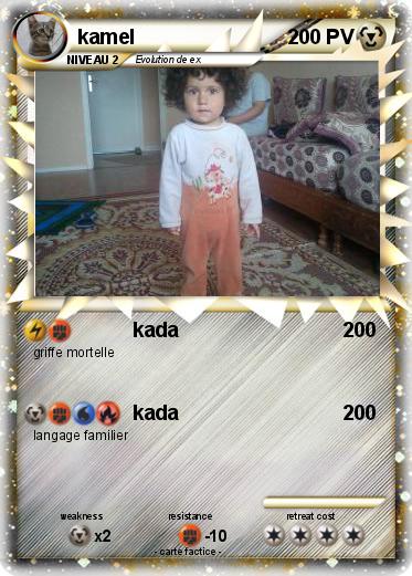Pokemon kamel