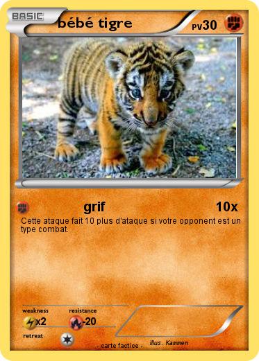 Pokemon bébé tigre