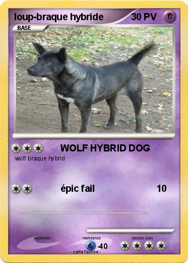 Pokemon loup-braque hybride