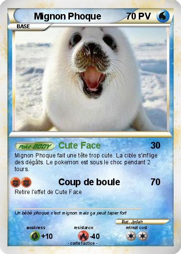 Pokemon Mignon Phoque