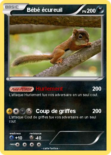 Pokemon Bébé écureuil