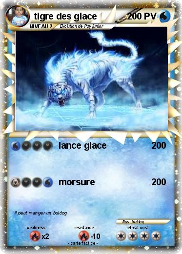 Pokemon tigre des glace
